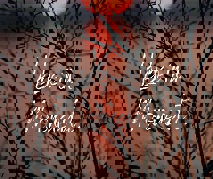 D212508fea37770f84cd44cc04b73a43